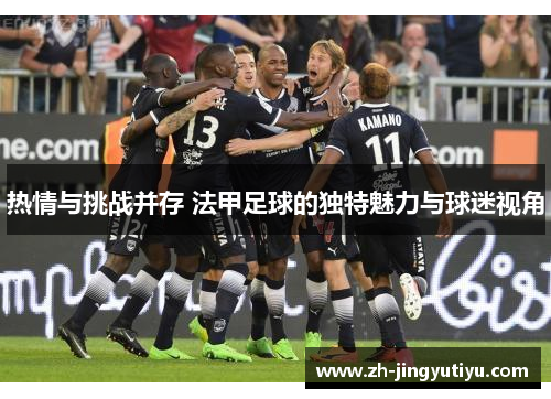 热情与挑战并存 法甲足球的独特魅力与球迷视角