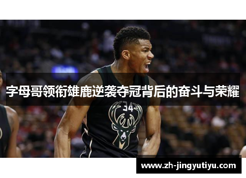 字母哥领衔雄鹿逆袭夺冠背后的奋斗与荣耀
